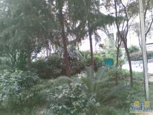 回兴 骑缘名居二房65万