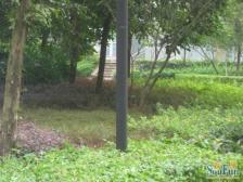 西区 依山庭院三房70万