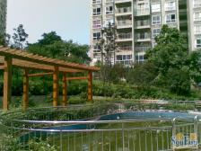 西区 依山庭院二房50万