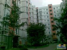 小小一室一厅.轻轨旁、便宜、、