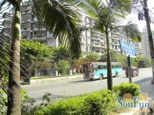 天星桥 复式大两房精装低总 可拎包入住