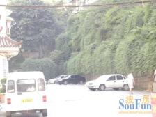 轻轨9号线下楼就可以到 精装5房 保持好