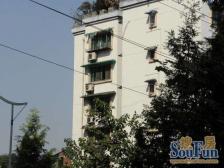 燕渝苑 3室2厅 南 北