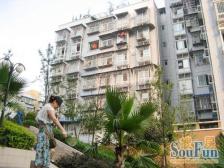 联芳桥 联芳花园三期一房29.8万