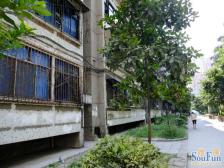 光电路 明佳园二房50万