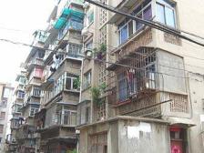 南北通透,全天采光充足。