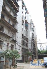 南京东路日月明小区南北通透,采光好装修好,环镜优美近地铁视野好,诚心出售
