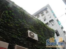 建国西路158弄 1室1厅 南