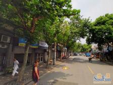 电梯房 双南大两房,高区采光视野棒