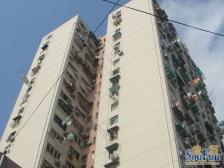 徐汇内环+4/7/9/12多轨交+配套完善+带电梯+户型方正