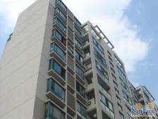 滨江内环内 板式南北通 电梯洋房 有产权车位!!!