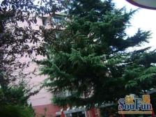 新上好房,交通便捷,全明户型,采光好