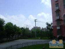 新上好房,交通便捷,全明户型,采光好