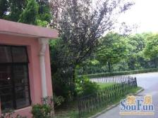 金汇·虹井小区·2室·2厅