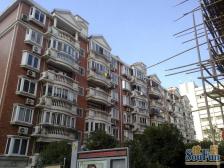 黄浦江泮、老上海风情、品质大两房、出门18号地铁、学校配置好