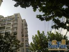 一间房满足三代同堂~!杨滨好房必看榜!板式户型~