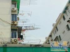 电梯房 满五年楼层好,户型好,视野好,业主诚心出售!