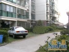 新上房源,景观楼层,南北通大三房,房东诚意出售