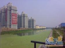 楼层好,近地铁,顾村公园