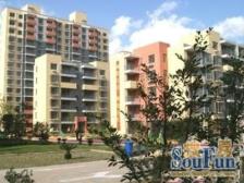 顾村·菊泉新城-爱建顾苑(北区)·1室·1厅