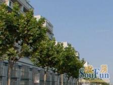 5复6楼 5楼2房2厅1卫 6楼3房1卫+露台 停车方便