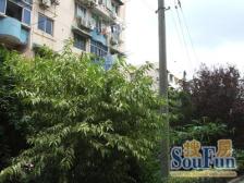 彭浦·临汾路1244弄·3室·1厅