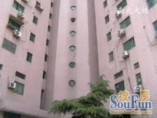 NEW!内环铂金地段,电梯高区,比邻环球港,5轨交汇!