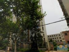 满五年税费少,视野好地铁5+23号线 户型正