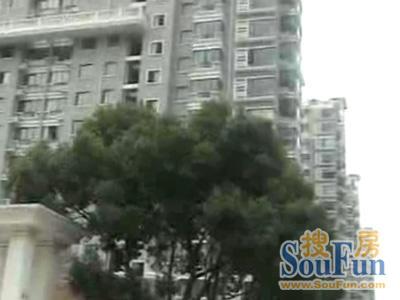阳光四季园实景图