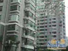 中楼层 小区中间位置 户型南北通,采光好 精装修