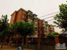 入住快拎包入住刚需上车,新上房源