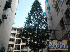 近地铁,精装产权清晰新上房源