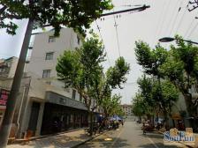 简约风格,闹中取静,采光充足,配套完善