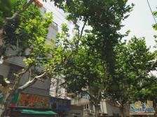 蒙自路601弄 2室1厅 西