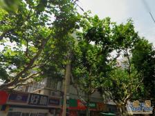 五里桥·蒙自路601弄·2室·1厅