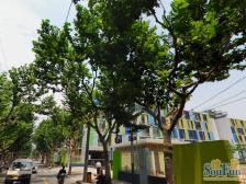 蒙自路601弄2室1厅南北