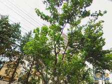 电梯两房中楼层精装修拎包入住业主很有诚意素质很好