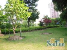 近地铁 中心位置,无抵押 采光好 新上房源