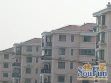 地蛈口,诚意卖,飞机户型,精装修,花园位置,看房随时