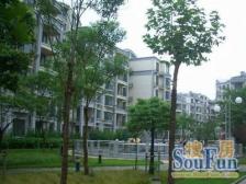 6/12号地铁巨峰路站,精装三房带地下两房出售