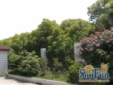 高层景观房,满五近地铁,远眺陆家嘴三件套,诚意出售