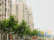 金杨·海德苑·3室·2厅