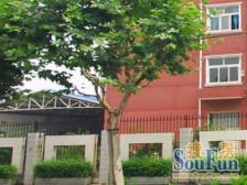 南北通透大两房,小区中间看花园