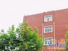 金桥·沪南小区·1室·1厅