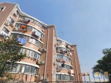 龙华·民苑小区·2室·2厅