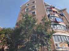 徐汇滨江,扛把子,原始南北通,紧靠西岸跑道,地铁11