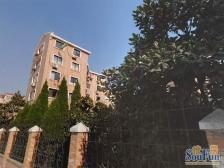 凉城·金属新村·1室·1厅