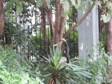 人车分流,随时看房,无抵押,入住快,新上房源