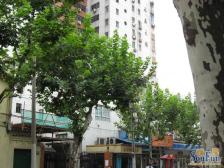 永嘉大楼 规整3房 诚意出售 看房方便