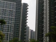 中信红树湾四期 1房1厅1卫 361.97㎡